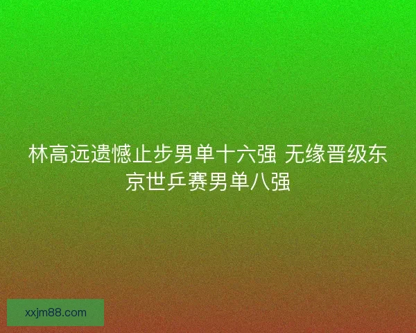 林高远遗憾止步男单十六强 无缘晋级东京世乒赛男单八强