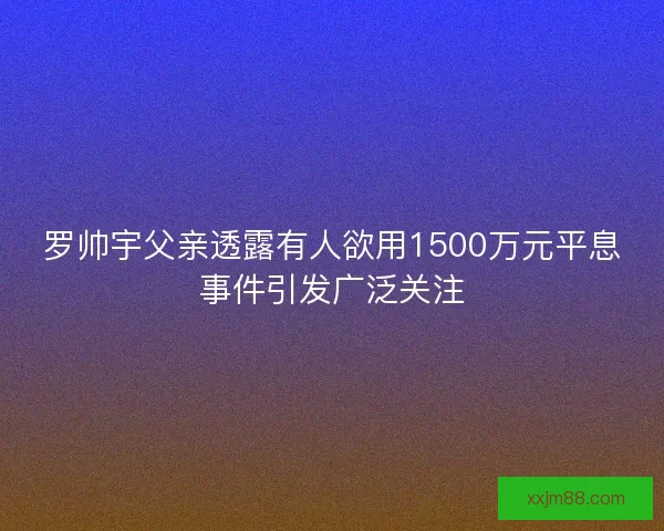 罗帅宇父亲透露有人欲用1500万元平息事件引发广泛关注
